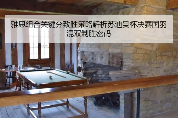 ya-si-zu-he-guan-jian-fen-zhi-sheng-ce-lve-jie-xi-su-di-man-bei-jue-sai-guo-yu-hun-shuang-zhi-sheng-mi-ma-3-357.jpg